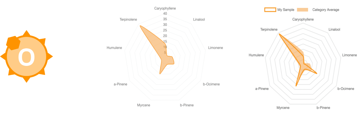 SDP%20Compass%20Compare_update